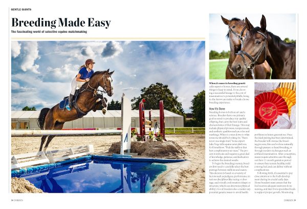 Horses - The Complete Guide: Expert Riding & Training Tips, Stable Care, Breeding Mastery, Racing, Betting, Breeds From Clydesdales To Arabians, Icons Like Secretariat & History s Noblest Steeds! Fashion - Image 4