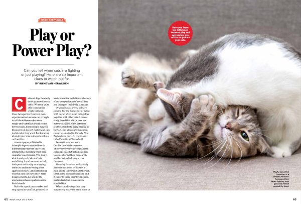 Inside Your Cats Mind - What They Really Think & Need, Dr. Zazie Todd & Mikel Delgado Animal Behaviorist, 10 Essential Strategies For Their Happiness, The Many Meanings Of The Purr & More! For Cheap - Image 3
