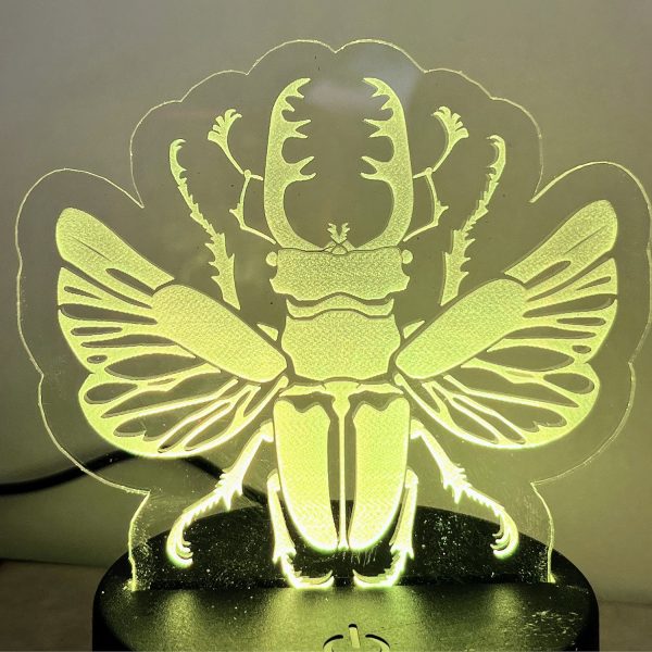 Beetle Insect LED Nightlight Insert For Discount