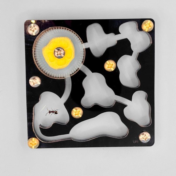Small Ant Farm Online Hot Sale - Image 3