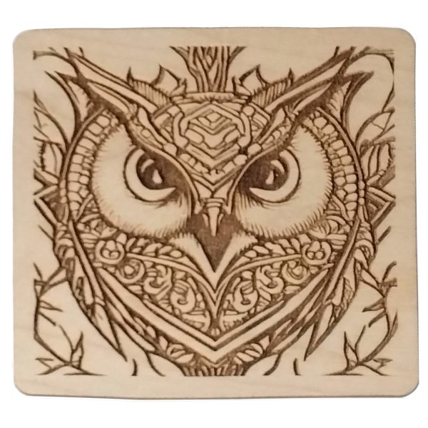 Magnificent Little-Big Owl Square Coaster For Cheap