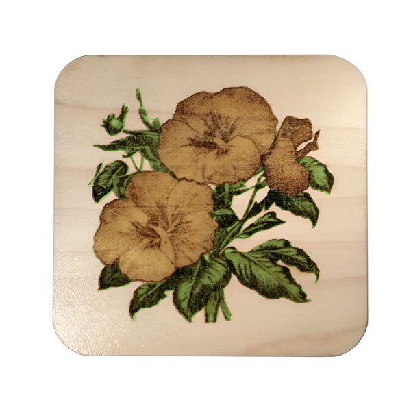 Beautiful Tropical Hibiscus Square Coaster For Cheap