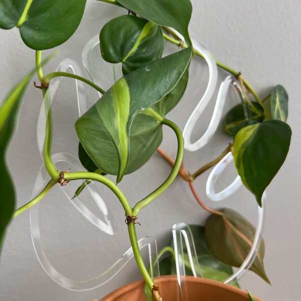 Simple Plant Trellis for Indoor Plants - Houseplant Support For Cheap