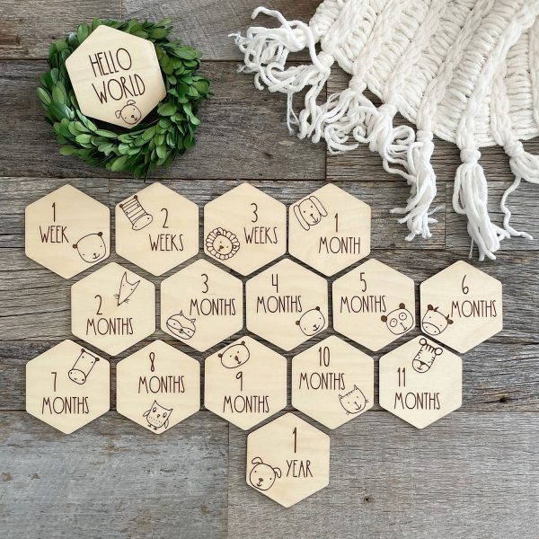 Baby Milestone Cards with Adorable Baby Animals For Cheap